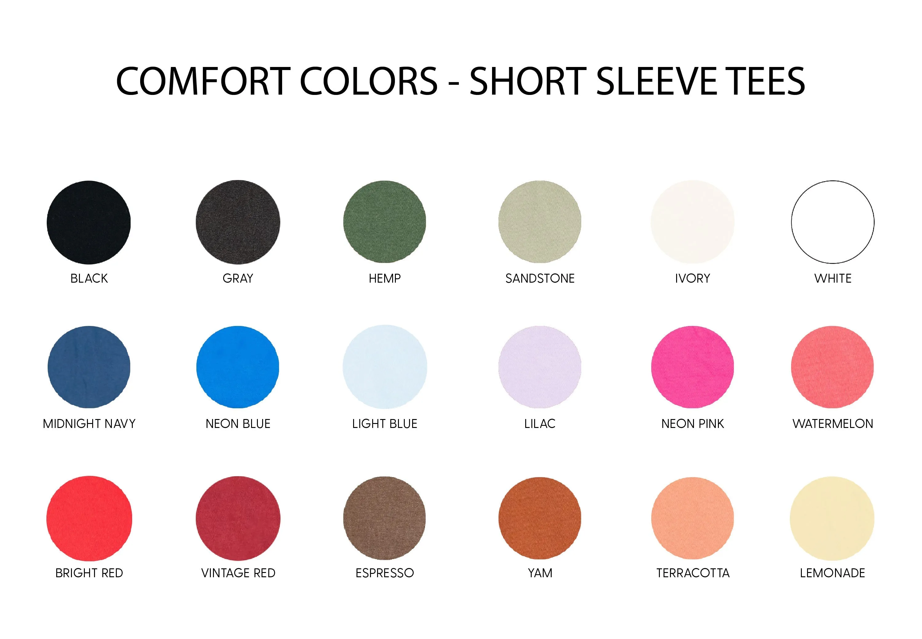 EMBROIDERED - TAKE A LOOK, IT'S IN A BOOK - READING RAINBOW -  SHORT SLEEVE COMFORT COLORS TEE