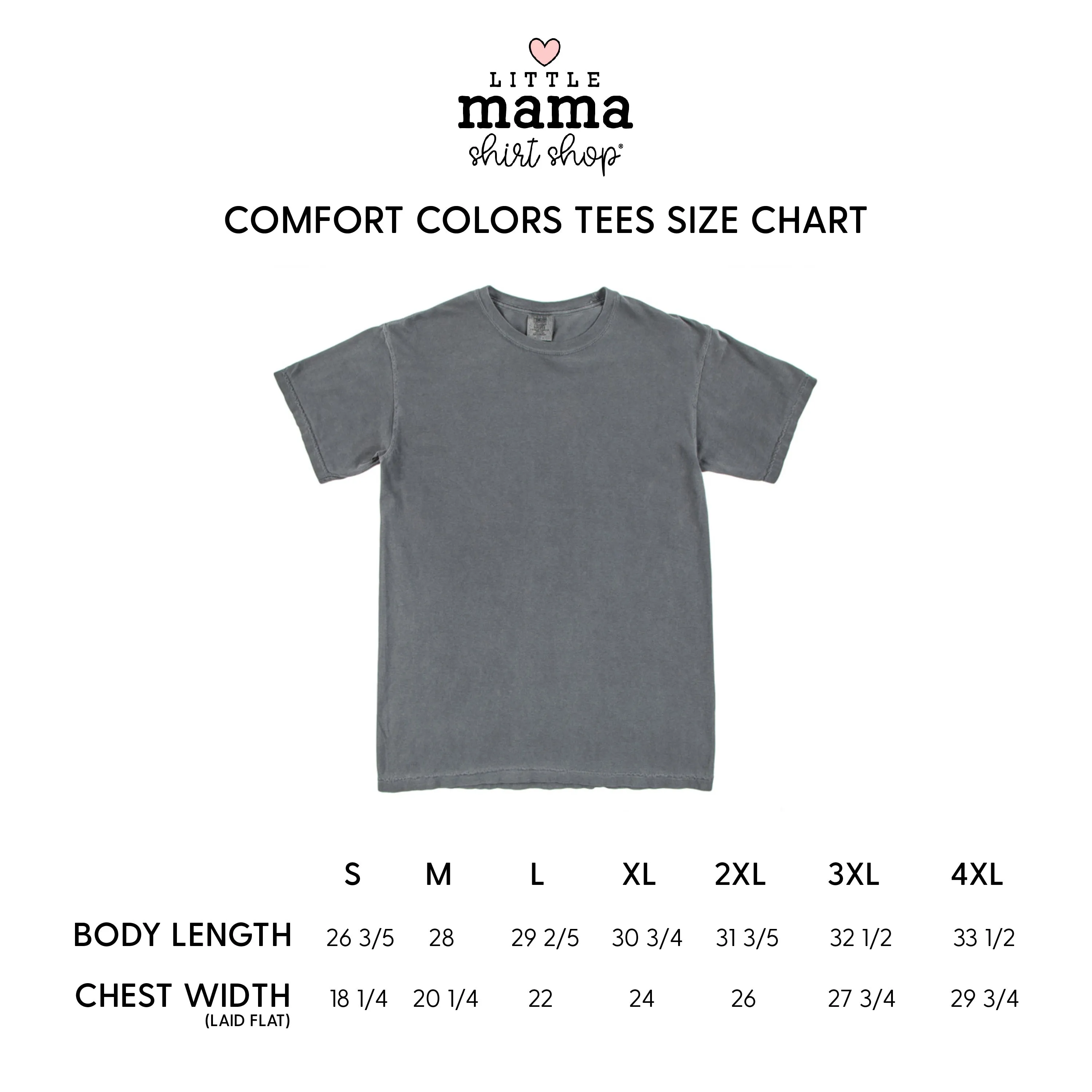 EMBROIDERED - TAKE A LOOK, IT'S IN A BOOK - READING RAINBOW -  SHORT SLEEVE COMFORT COLORS TEE
